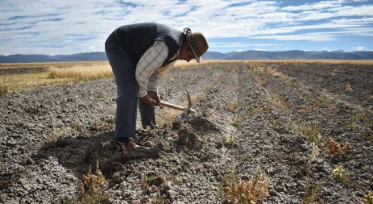 CAMPESINOS MIEMBROS DEL DIRECTORIO DE LA CONFEDERACIÓN SINDICAL ÚNICA