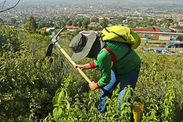 ENTREGAN SEMILLAS PARA FORTALECER LA AGRICULTURA EN EL MUNICIPIO DE ALALAY