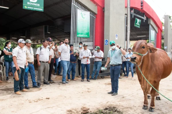 TÉCNICOS DEL SENASAG SE CAPACITAN EN SANIDAD ANIMAL