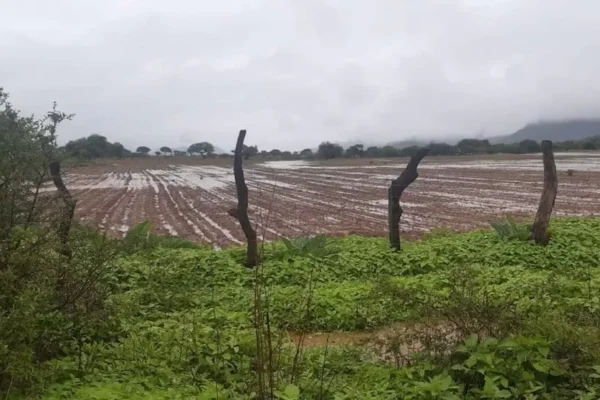 LLUVIAS VUELVEN MÁS INTENSAS Y PREVÉN OLA DE CALOR EN TARIJA