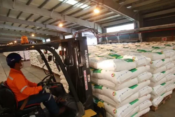 POR 10 DÍAS, LA PLANTA DE UREA NO PRODUJO FERTILIZANTE Y YPFB MINIMIZA EL REPORTE DE SUS ENCARGADOS
