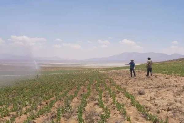 AGUA PARA RIEGO Y CARRETERAS: LA DEMANDA PRINCIPAL DEL SECTOR CAMPESINO EN CERCADO