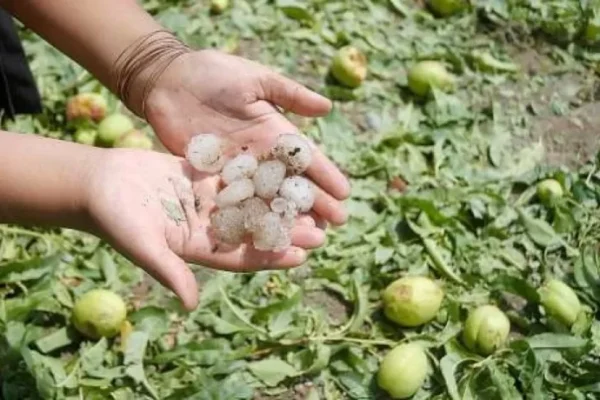 SAN LORENZO ES EL MUNICIPIO MÁS AFECTADO POR LAS LLUVIAS Y GRANIZADAS