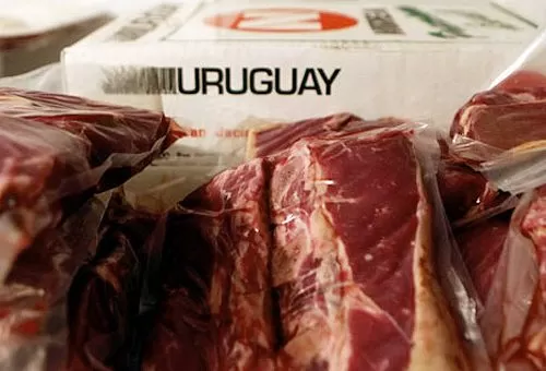 LA EXPORTACIÓN DE CARNE AUMENTÓ EN URUGUAY UN 85% EN VALOR EN FEBRERO