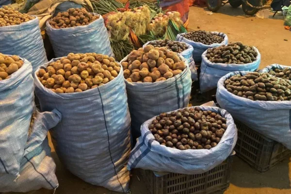 SUBE EL PRECIO DE LA ARROBA DE PAPA EN MERCADOS DE COCHABAMBA