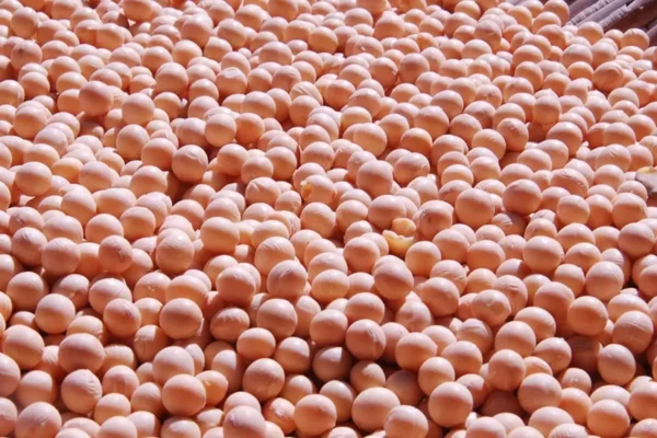 GOBIERNO PROHÍBE EXPORTACIÓN DE SOYA, CARNE, AZÚCAR Y ACEITE HASTA QUE SE ACABE EL PARO INDEFINIDO