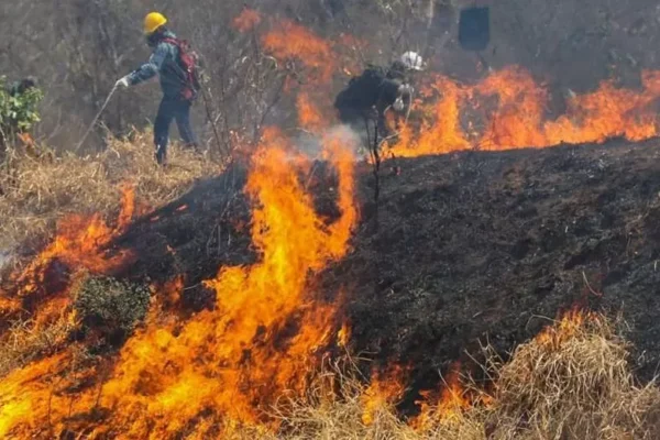 SANTA CRUZ REGISTRA 6 INCENDIOS FORESTALES Y SUPERA EL MILLÓN DE HECTÁREAS AFECTADAS POR EL FUEGO ESTE AÑO