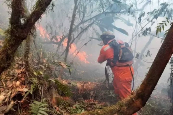 INCENDIOS EN MUNICIPIO DE BERMEJO NO DAN TREGUA DESDE HACE UNA SEMANA