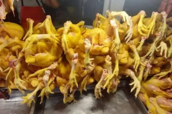 PRODUCTORES DE POLLOS PREVÉN “CATÁSTROFE” PARA EL SECTOR