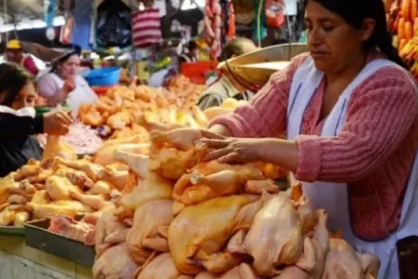 AVICULTORES DE COCHABAMBA VEN INEVITABLE QUE LA CARNE DE POLLO SUBA ESTE FIN DE AÑO