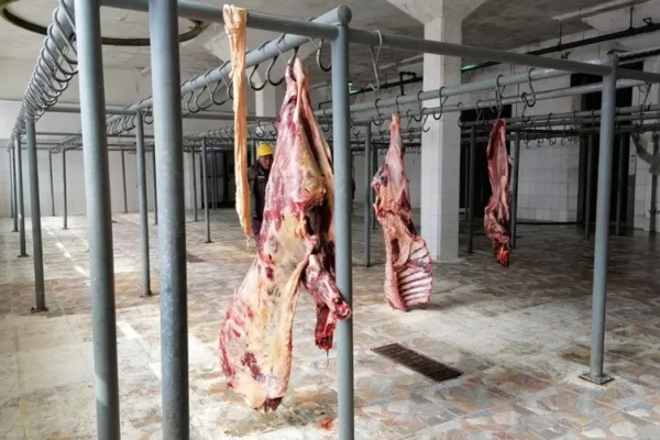 ‘NOS SENTIMOS DEPENDIENTES DE SANTA CRUZ’: CARNICEROS DE EL ALTO APUESTAN A PRODUCTO DEL ALTIPLANO PERO CON DUDAS DE SU SOSTENIBILIDAD