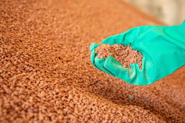 EL POTASIO, UN NUTRIENTE ESENCIAL PARA LAS PLANTAS