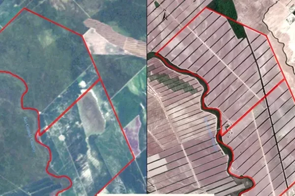 EL DESMONTE EN EL PREDIO SANTAGRO ALCANZA 97% Y SE INTENSIFICÓ A PARTIR DEL 2000