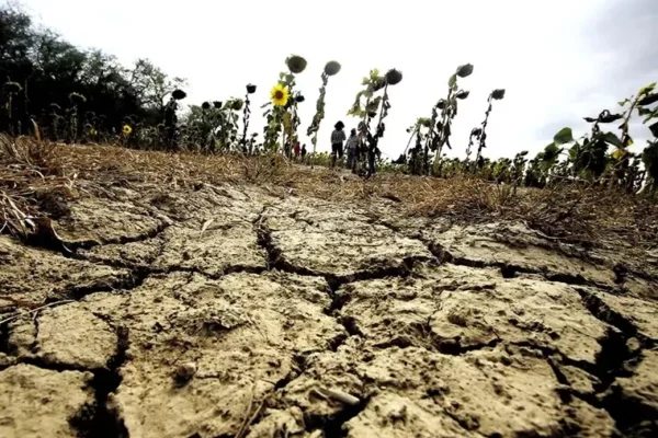 AGUA Y CASTIGO A LOS AVASALLADORES SON PEDIDOS DEL AGRO AL GOBIERNO