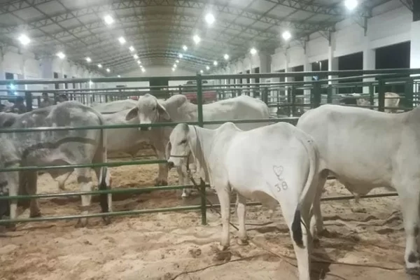 YACUIBA MUESTRA SU PODER ECONÓMICO EN LA EXPO CHACO SUDAMERICANO 2023