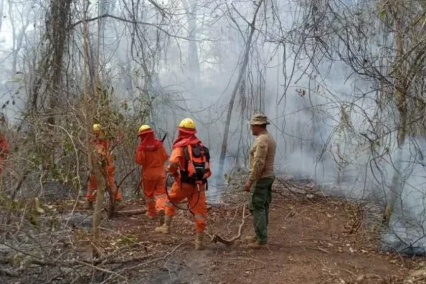 LA LLUVIA APLACA UNA PARTE DE LOS INCENDIOS FORESTALES, PERO LA EMERGENCIA SIGUE ACTIVA