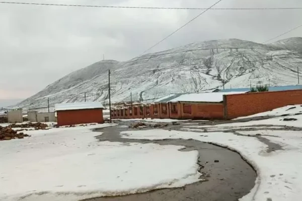 GRANIZO MATA A OVEJAS Y LLAMAS EN EL MUNICIPIO DE TARVITA DE CHUQUISACA