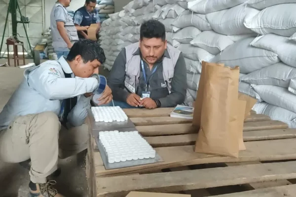 INIAF CONFISCA 47 TONELADAS DE SEMILLAS DE SOYA Y GIRASOL DE CONTRABANDO