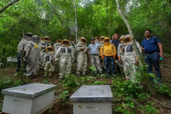 EL BDP Y NATURA APOYAN LA CADENA APÍCOLA EN EL CHACO