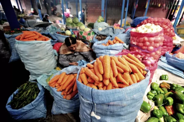 MINISTRO HUANCA: SUBVENCIÓN DE ALIMENTOS AYUDARÁ A MANTENER BAJAS LAS TASAS DE INFLACIÓN