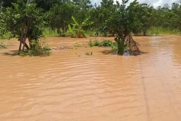 REPORTAN INUNDACIONES EN EL TRÓPICO Y PRONOSTICAN LLUVIAS HASTA EL VIERNES