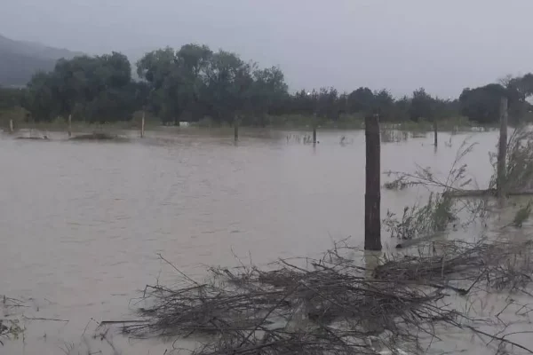 MÁS DE 381 FAMILIAS Y 500 HECTÁREAS AFECTADAS POR LAS INUNDACIONES EN TOLATA