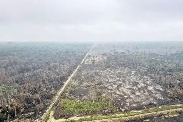 EL CALENTAMIENTO, LA DEFORESTACIÓN Y LA CONTAMINACIÓN, LAS HERIDAS DE LA MADRE TIERRA EN BOLIVIA