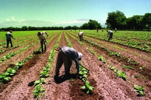 AGROPECUARIOS PIDEN AL GOBIERNO ENMENDAR LA APLICACIÓN DEL INCREMENTO SALARIAL