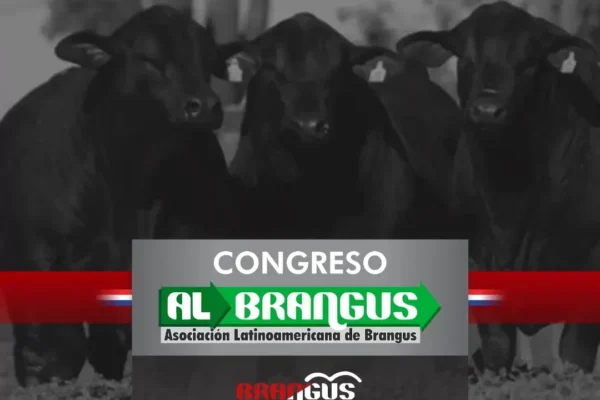 TODO LISTO PARA LA CELEBRACIÓN DEL ENCUENTRO DE LA RAZA BRANGUS EN PARAGUAY