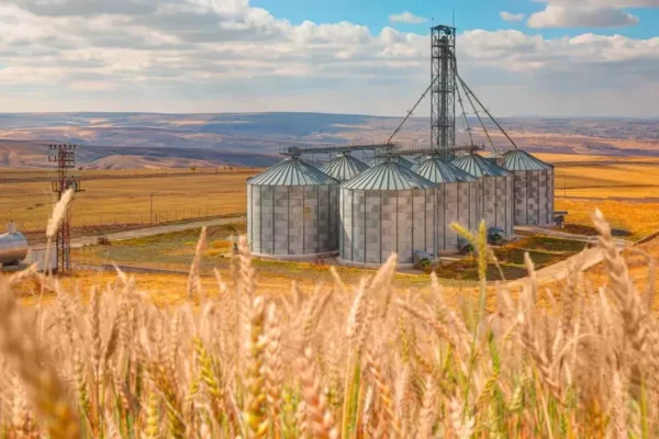 ARGENTINA: ELIMINAN RESTRICCIONES PARA LA EXPORTACIÓN DE TRIGO Y MAÍZ