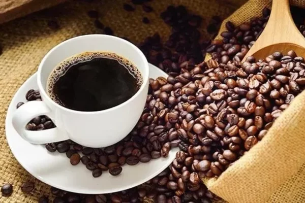 CAE LA EXPORTACIÓN DE CAFÉ UN 28% EN LA GESTIÓN 2023