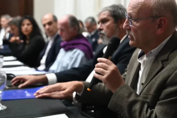 Argentina: Chicharrita del maíz: «En algunos casos hubo pérdidas del 100%»