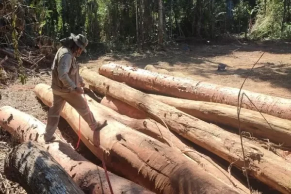 ABT decomisa madera y 7 vehículos en operativos