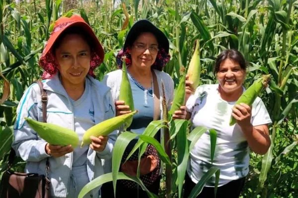 Días de campo, productores ecológicos y consumidores trabajan por una alimentación saludable