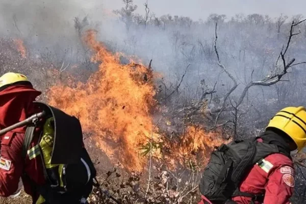 ABT reporta que se emitieron 22 citaciones por las quemas ilegales en la Chiquitanía