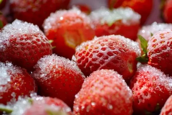 Exportaciones de fresa congelada concentraron el 67% de los despachos totales de fresa de Perú en mayo