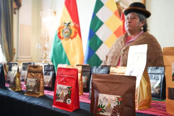 Lanzan el X Torneo Nacional Taza de Calidad “Café Presidencial 2024”
