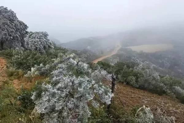 ¿Afectan o benefician las bajas temperaturas a los cultivos agrícolas?
