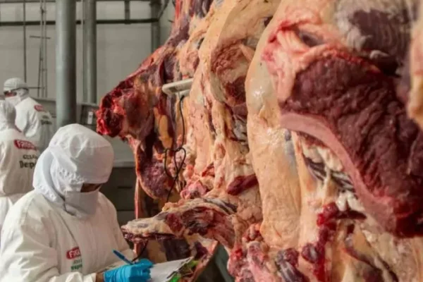 Bolivia elevó producción de carne bovina en 2023