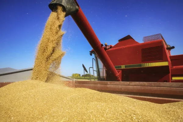 Exportadores venden 133,000 toneladas de maíz de EU a México