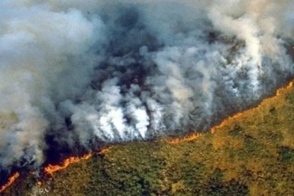 Proyecto de ley plantea prohibir dotación de tierras incendiadas y reversión de hectáreas desde 2019