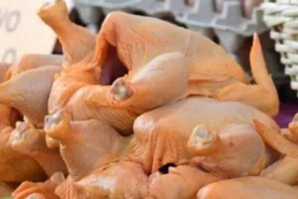 Avicultores dicen que al mes mueren casi 3 millones de pollos por el humo y el calor y a esto se suma el incremento del precio del maíz