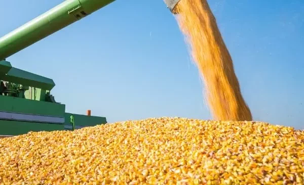 Brasil espera una cosecha récord de más de 300 millones de toneladas de granos