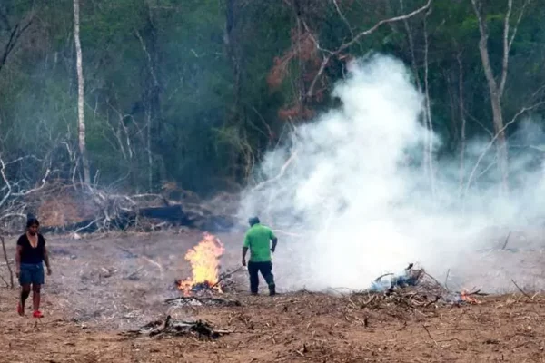 Avasallador es encontrado quemando en el bosque chiquitano donde se evidenció 700 ha. desmontadas y más de 50 mil árboles derribados
