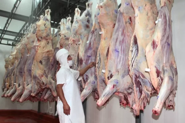 Auditoría de Corea para apertura de mercado a carne paraguaya están en marcha