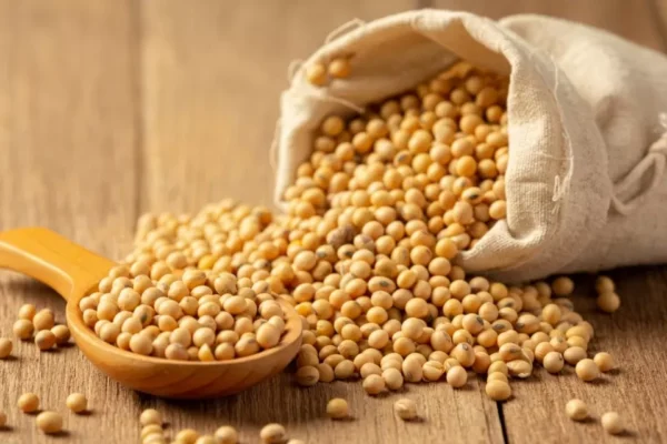 Las importaciones chinas de soja estadounidense aumentan en octubre por séptimo mes consecutivo