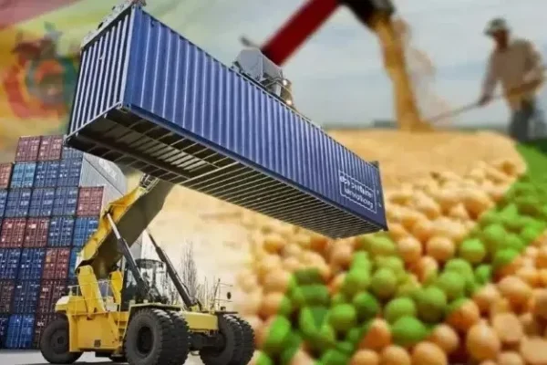 El comercio exterior boliviano pasa por un periodo muy crítico