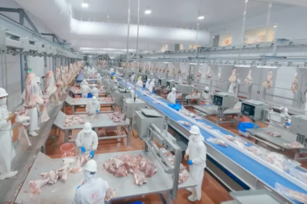 Paraguay: Traba de la UE a la carne, desde ARP disparan: «es ideología y falta de competitividad»