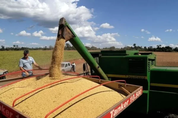 Récord de producción de soja en Paraguay