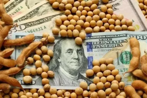 Argentina: Fuerte recuperación de las ventas externas de granos y derivados